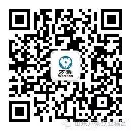 乐鱼网页版页面